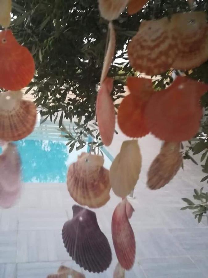 Dreamcatcher Vlachata Dış mekan fotoğraf