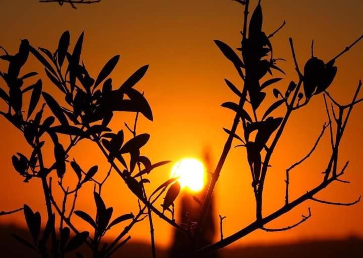 Dreamcatcher Vlachata Dış mekan fotoğraf
